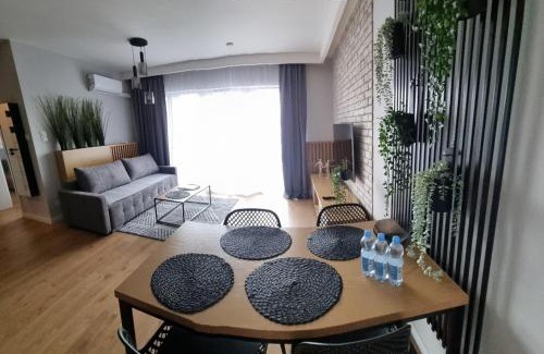 Kielce Apartment | Apartament Plaza Tower Deluxe -Zagnańska (Garaż, Targi)