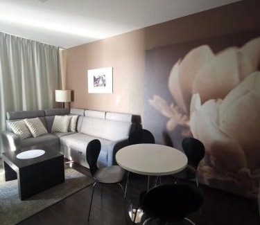 Dzielnica Uzdrowiskowa Apartment | Apartament prywatny salon z aneksem kuchennym, sypialnią w hotelu DIVA