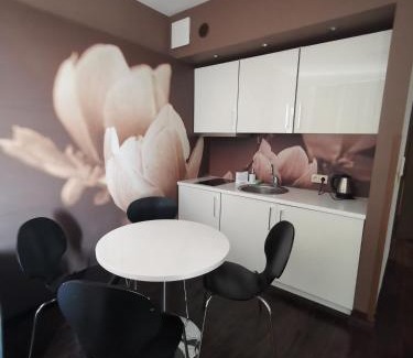 Dzielnica Uzdrowiskowa Apartment | Apartament prywatny salon z aneksem kuchennym, sypialnią w hotelu DIVA