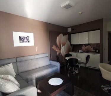 Dzielnica Uzdrowiskowa Apartment | Apartament prywatny salon z aneksem kuchennym, sypialnią w hotelu DIVA
