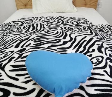 Toplita Apartment | Apartament Raluca