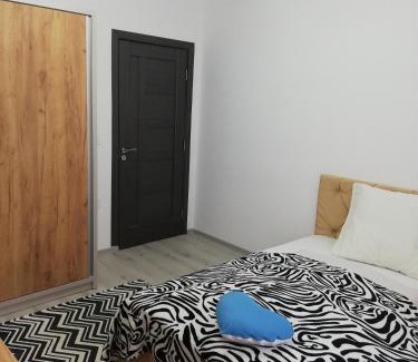 Toplita Apartment | Apartament Raluca