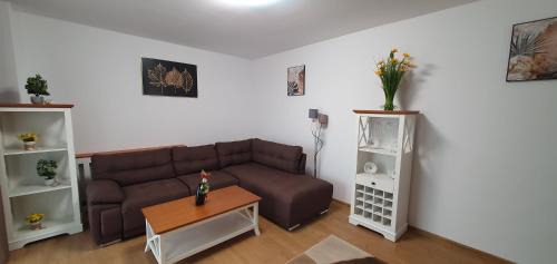Tirgu Mures Apartment | Apartament Relaxa Green 3 - 2 Rooms - AC - Parking
