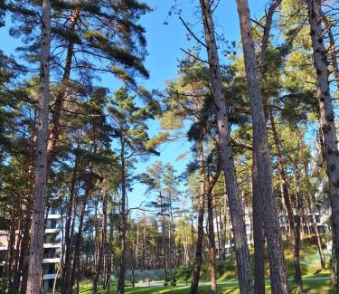Trzebiatow Apartment | Apartament Shellter Sun&Sea Rogowo koło Kołobrzegu Dźwirzyno nocleg