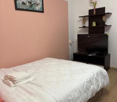 Cluj-Napoca Apartment | Apartament Someseni