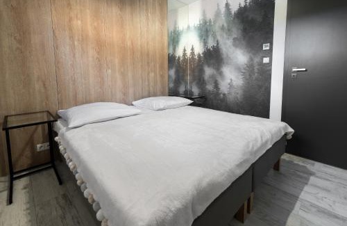 Jaworki Apartment | Apartament Strumień