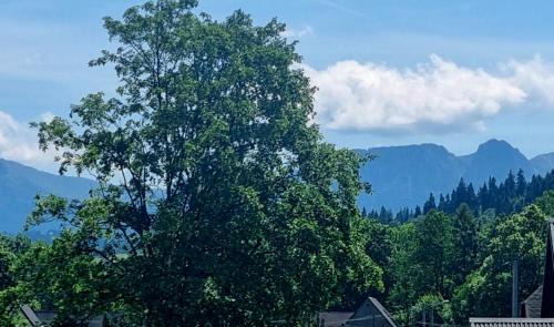 Czarny Dunajec Apartment | Apartament u Ani