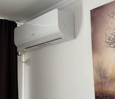 Satu Mare Apartment | Apartament Victoria
