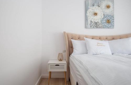 Satu Mare Apartment | Apartament Victoria
