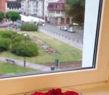 West Pomeranian Voivodeship Apartment | Apartament z widokiem na starówkę