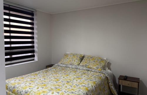 Downtown Santiago Apartment | Apartamento 2 Habitaciones, Estacionamiento, aire acondicionado, Wifi, Lavandería, Piscina