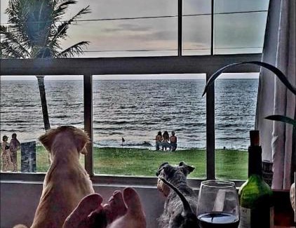Barra Velha Apartment | Apartamento aconchegante frente para o mar