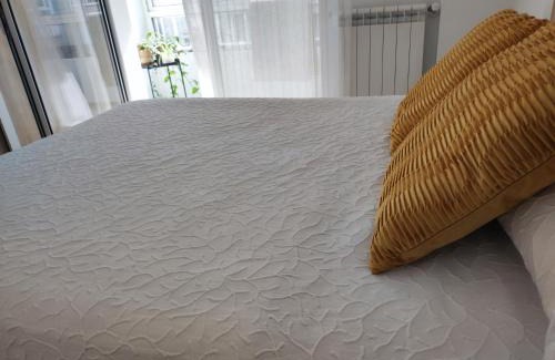 Pontevedra Apartment | APARTAMENTO BOLBORETA