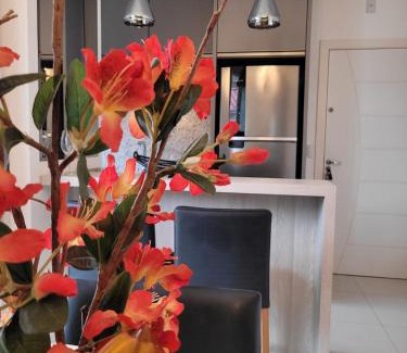 Governador Celso Ramos Apartment | Apartamento Residencial Mar Azul - praia de Palmas - Governador Celso Ramos-SC