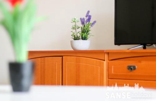 Gros Apartment | Apartamento Colón by SanSe Holidays