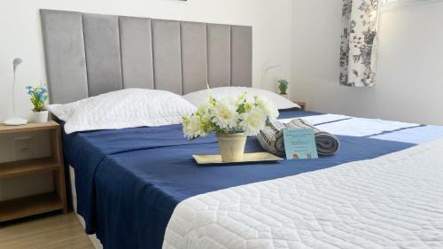 Santo Cristo Apartment | Apartamento com piscina no coração do Rio!
