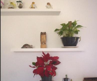 Vargem do Bom Jesus Apartment | Apartamento de Praia