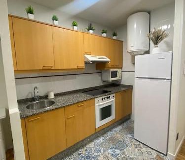 Cangas de Onis Apartment | Apartamento El Rinconín