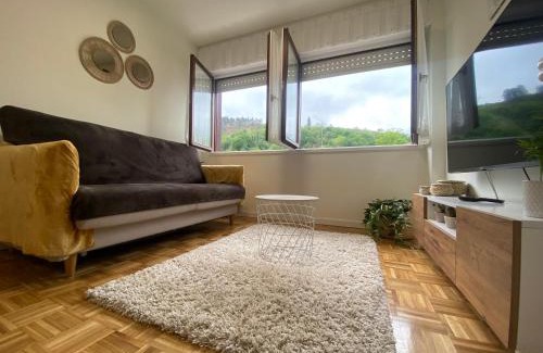 Cangas de Onis Apartment | Apartamento El Rinconín