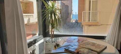 Almeria Apartment | Apartamento El Zapillo III