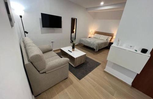 Jerez de la Frontera Old Town Apartment | Apartamento Porvenir