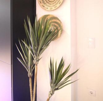 Camins al Grau Apartment | Apartamento Menorca Apartamento n1
