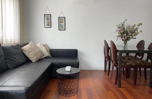 Santiago Apartment | Apartamento PASEO DE LA RIBERA