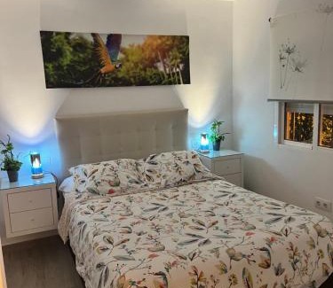 Los Pajaros Apartment | apartamento sevilla enzo