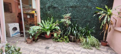 Paysandu Apartment | Apartamento Susy