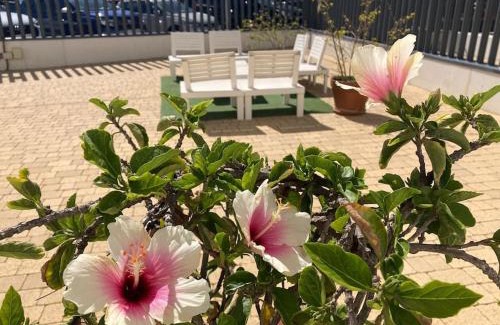 Torrox Costa Apartment | Apartamento Torrox Playa 3