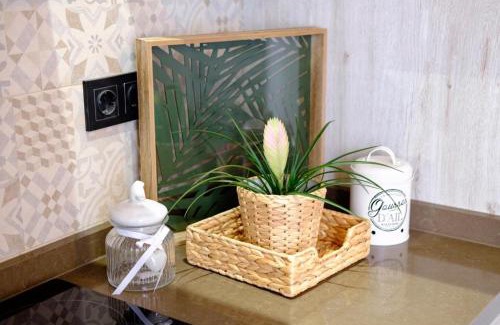El Ejido Apartment | APARTAMENTO VINTAGE EN EL CENTRO DE MÁLAGA