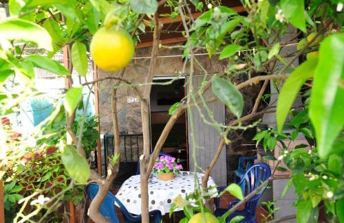 La Aldea de San Nicolas Apartment | Apartamentos Buen Leon