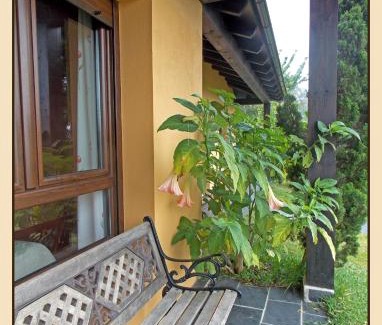 Villaframil Apartment | Apartamentos Guidan