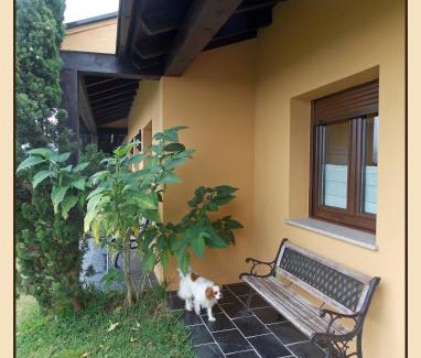 Villaframil Apartment | Apartamentos Guidan