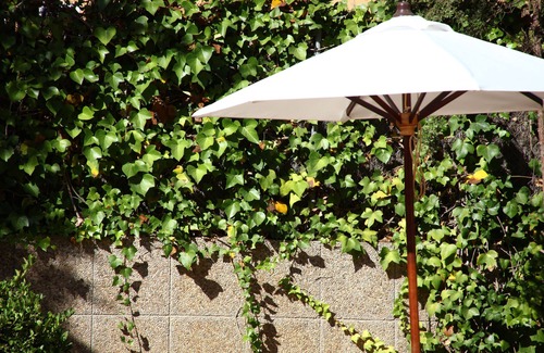 Les Meravelles Apartment | Apartamentos Jade - Adults Only +16