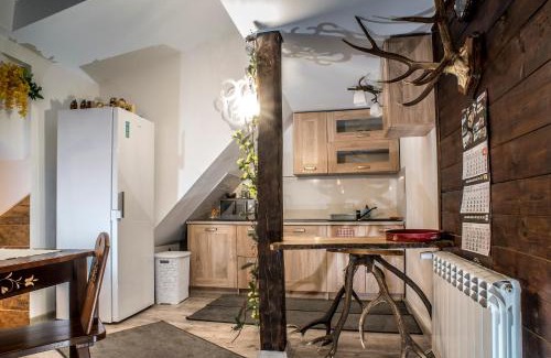 Czarna Gora Apartment | Apartamenty Góraleczka z widokiem- pokój zabaw