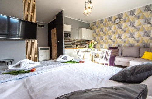 Swieradow-Zdroj Apartment | Apartamenty Izerskie - ul. Cicha 13F-G