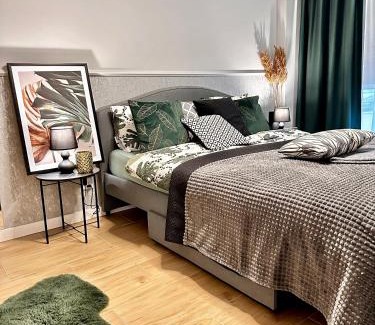 Kielce Apartment | Apartamenty Kielce- GREEN FOREST APARTAMENT, faktura, parking, centrum