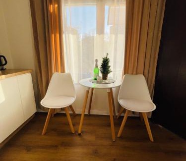 Kudowa Zdroj House | Apartamenty Pod Lwami