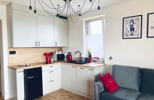 Lapalice Apartment | Apartamenty Skoczybruzda