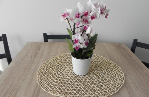 West Pomeranian Voivodeship Apartment | Apartamenty Starówka