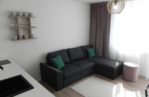 West Pomeranian Voivodeship Apartment | Apartamenty Starówka