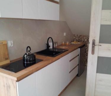 Wisla Apartment | Apartamenty u Joli