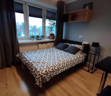 Zamosc Apartment | Apartamenty Urban Concept
