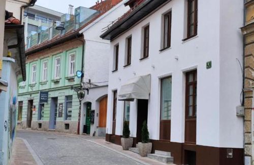 Ljubljana City Centre House | Aparthotel Cross Street 4
