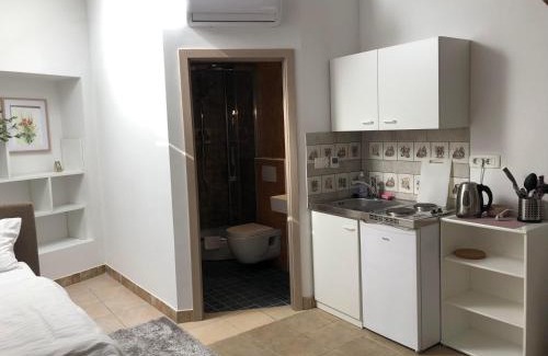 Ljubljana City Centre House | Aparthotel Cross Street 4
