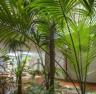 Chiclana de la Frontera Apartment | Aparthotel las Dunas