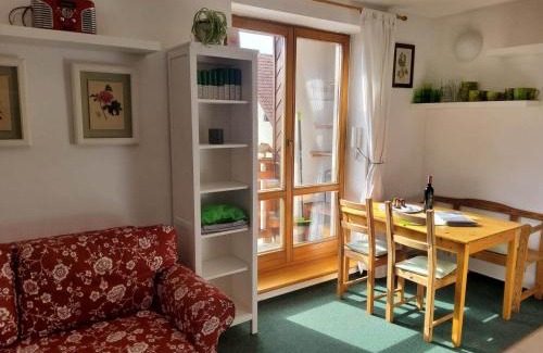 Rokytnice nad Jizerou Apartment | Apartmán 6 u sjezdovek