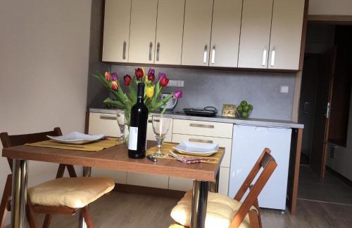 Loucna nad Desnou Apartment | Apartmán Dlouhé stráně