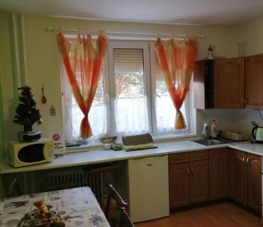 Tatranska Strba Apartment | Apartmán Palenica